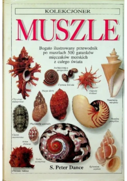 Kolekcjoner muszle