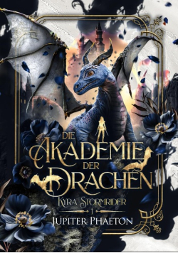 Die Akademie der Drachen Kyra Stormrider Band 1