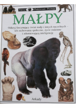 Małpy