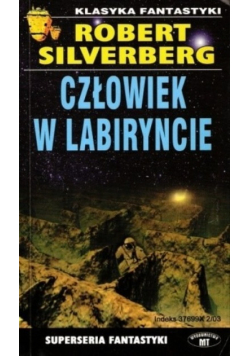 Człowiek w labiryncie