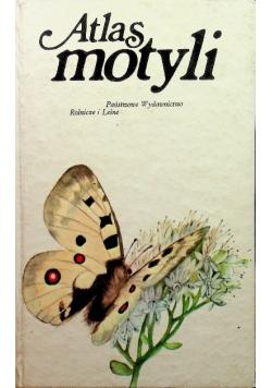 Atlas motyli