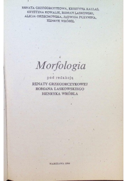 Gramatyka współczesnego języka polskiego Morfologia