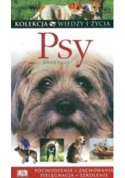 Psy