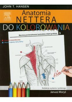 Anatomia Nettera do kolorowania
