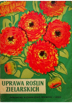 Uprawa roślin zielarskich