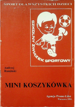 Mini koszykówka
