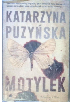 Motylek