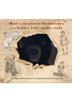 Baśń o zaczytanym Niedźwiedziu i o Króliku, który spadł z nieba