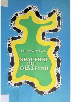 Spacerki po Olsztynie