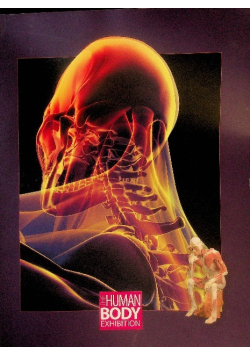 The Human Body Exhibition