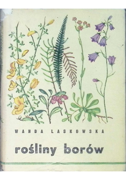 Rośliny borów