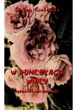 W pomrokach wiary