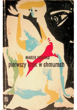 Pierwszy krok w chmurach