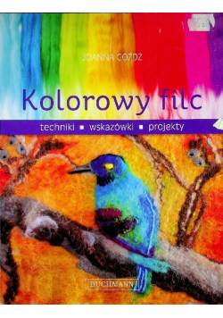 Kolorowy filc