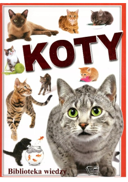 Koty