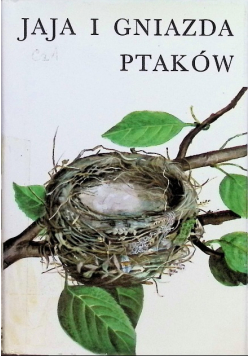 Jaja i gniazda ptaków