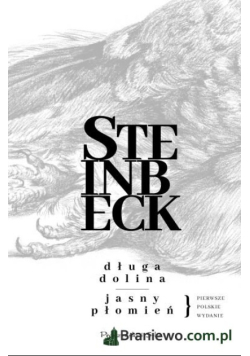 Długa dolina ; Jasny płomień