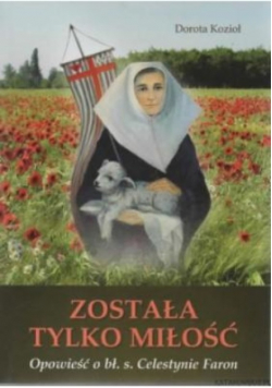 Została tylko miłość