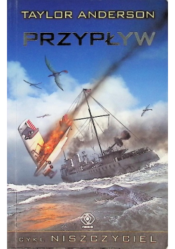 Niszczyciel Przypływ