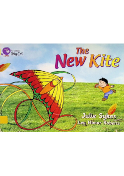 The New Kite