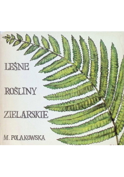 Leśne rośliny zielarskie