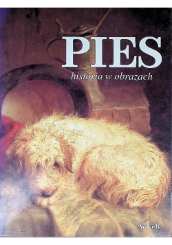 Pies historia w obrazach