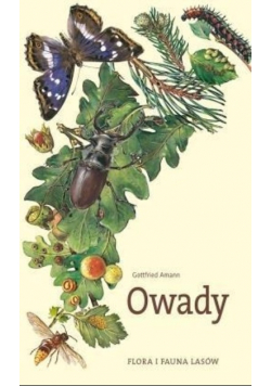 Owady Flora i Fauna Lasów