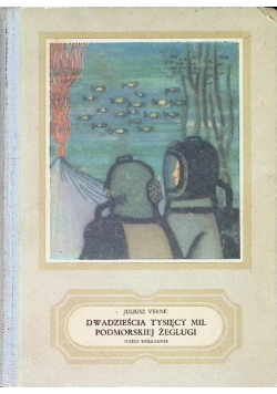 Dwadzieścia tysięcy mil podmorskiej żeglugi Tom 2
