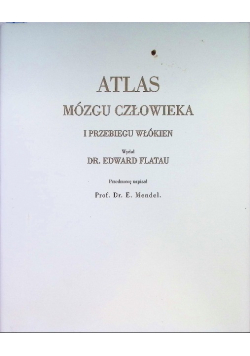 Atlas mózgu człowieka i przebiegu włókien