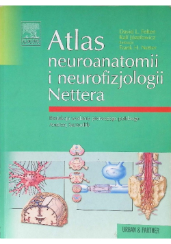 Atlas neuroanatomii i neurofizjologii Nettera