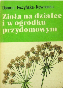 Zioła na działce i w ogródku przydomowym