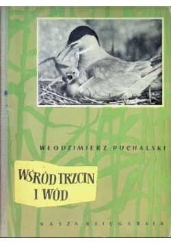 Wśród trzcin i wód