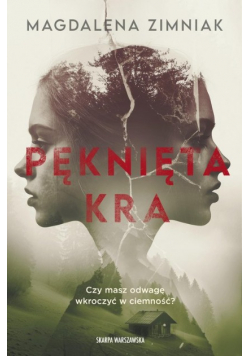 Pęknięta kra