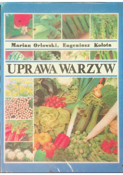 Uprawa warzyw