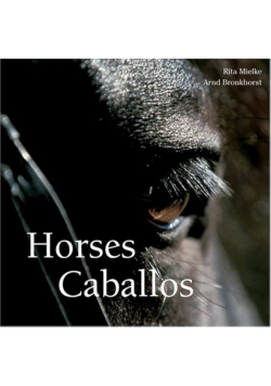 Horses Caballos