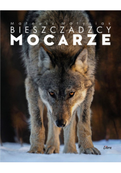 Bieszczadzcy mocarze