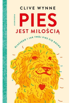 Pies jest miłością