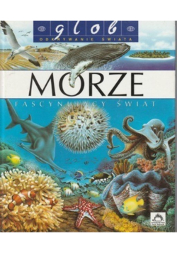 Morze Fascynujący świat