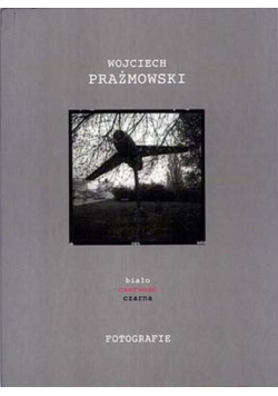 Biało czerwono czarna Fotografie