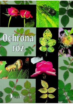 Ochrona róż