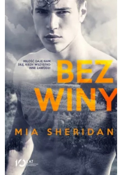 Bez winy