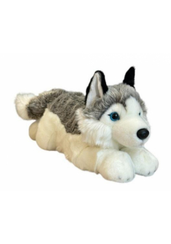 Pies Husky 42cm