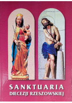 Sanktuaria Diecezji Rzeszowskiej Zbigniew Bielamowicz