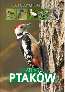 Atlas ptaków