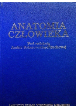 Anatomia człowieka