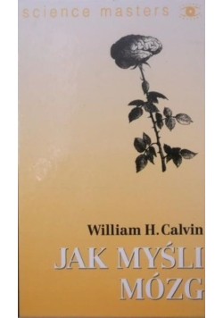 Jak myśli mózg