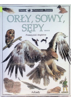 Patrzę podziwiam poznaję Orły sowy sępy