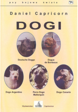 Dogi psy bojowe świata