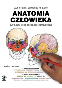 Anatomia człowieka Atlas do kolorowania