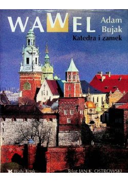 Wawel Katedra i zamek